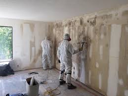 Mold Remediation for Rental Properties in Hamburg, IA